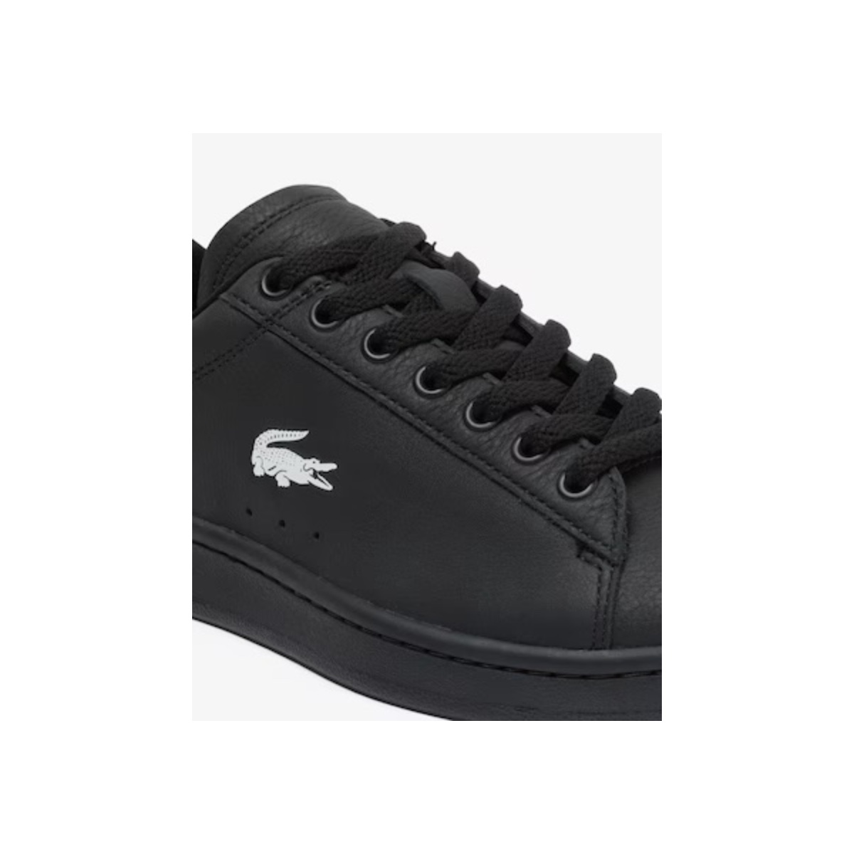Lacoste, photo 2 of 5