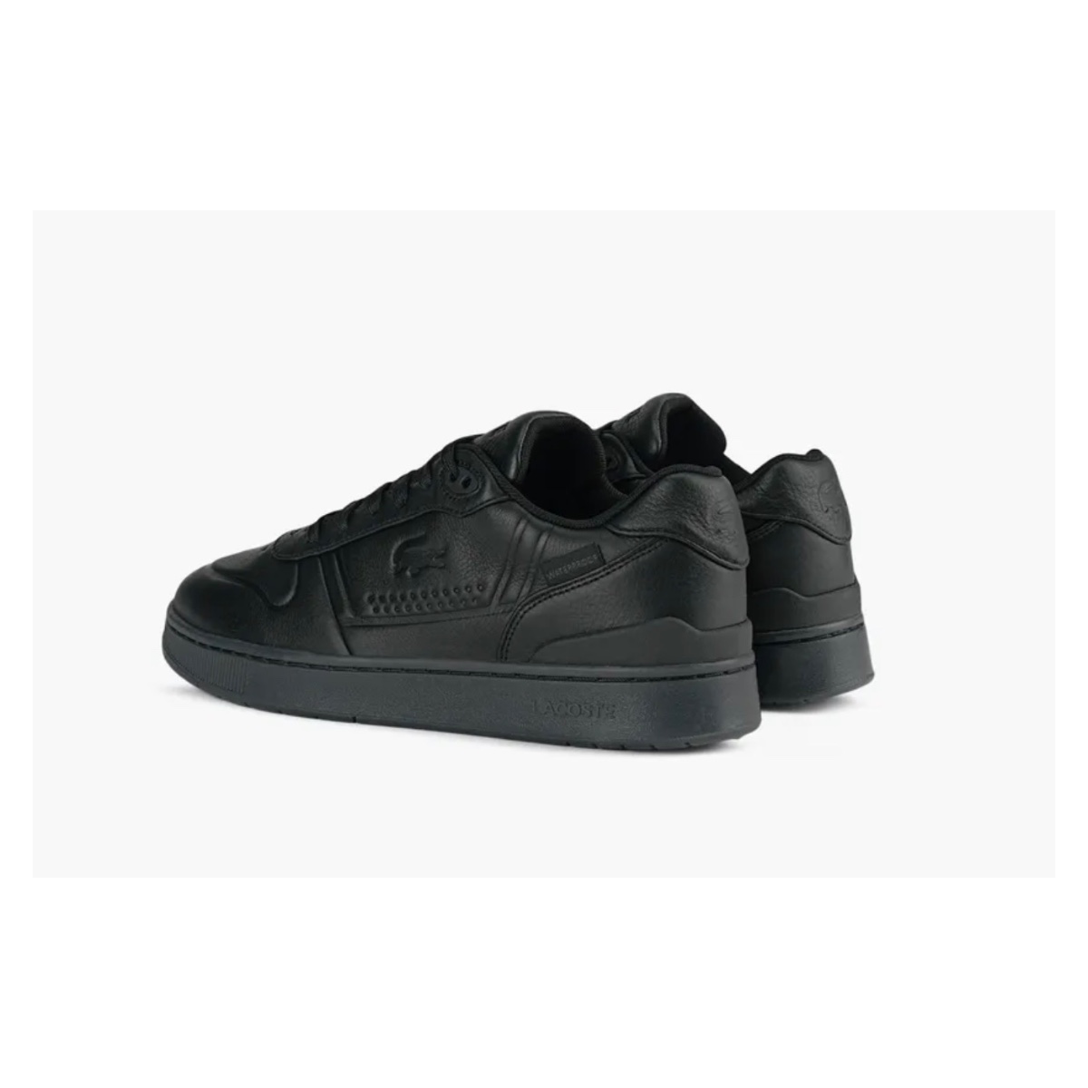 Lacoste, photo 4 of 5
